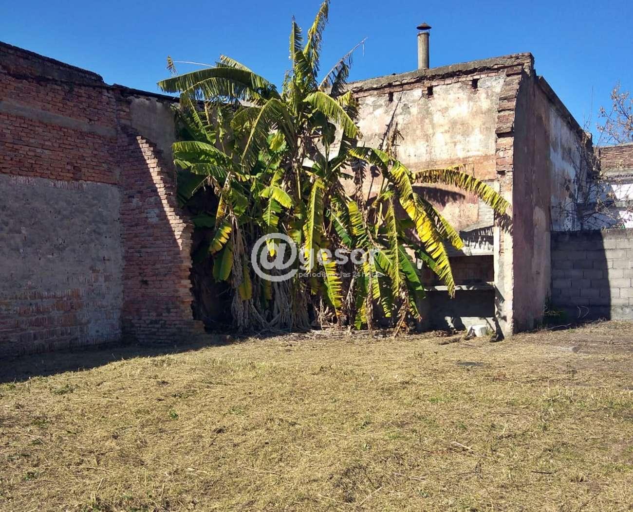Image6